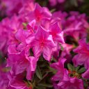 _DSC0119