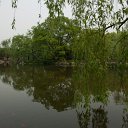_DSC0134