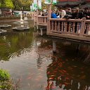 _DSC0277