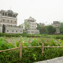 _DSC0713