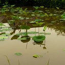 _DSC0743