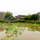 _DSC0745