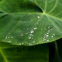 _DSC0757