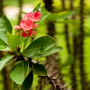 _DSC0842
