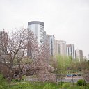 _DSC9127