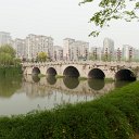 _DSC9558