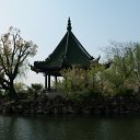 _DSC9920