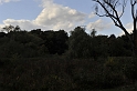 _DSC3240