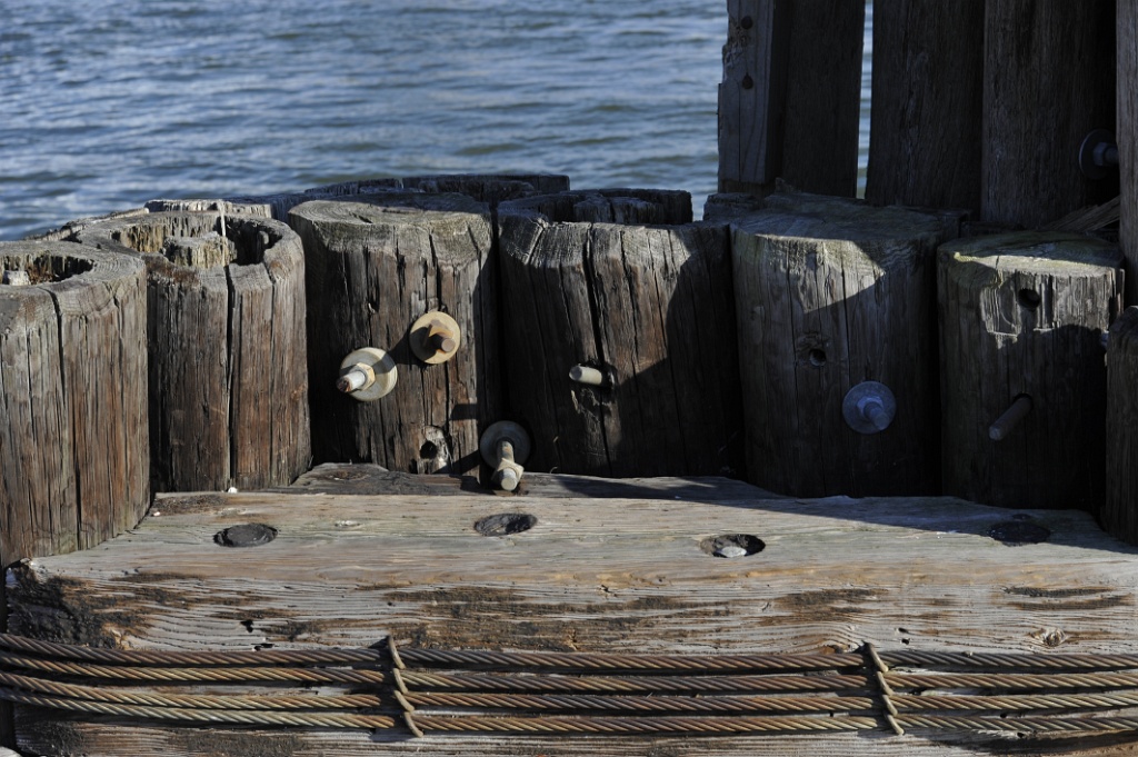 _DSC6876.JPG
