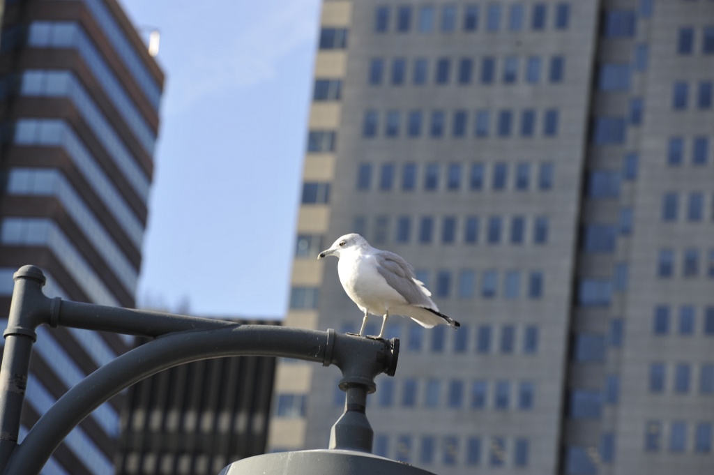 _DSC6889.JPG
