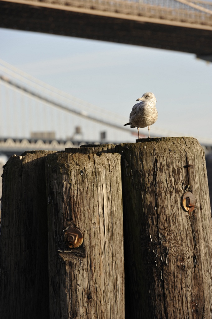 _DSC6953.JPG