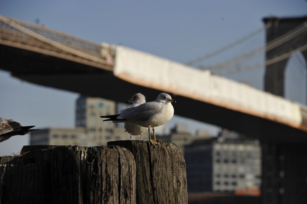 _DSC6956.JPG