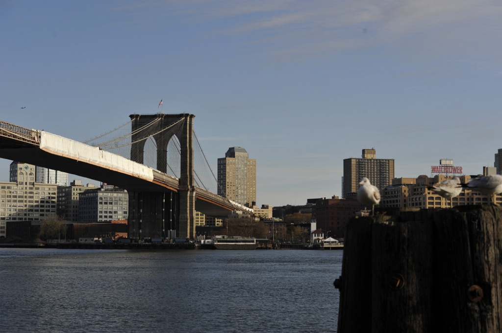 _DSC6964.JPG