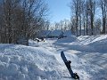 IMG_0270